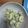 たろう713's cooksnap of when they made 旬の空豆の塩茹で.
