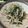 adgjm123's cooksnap of when they made ニラもやし炒め〜ちょこっと鶏ガラ風味.
