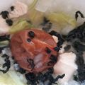 カクヨ's cooksnap of when they made ささみの梅茶漬け.