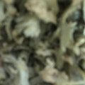 ma___111's cooksnap of when they made 舞茸とネギのツナ缶炒め.