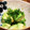 スサミちゃん's cooksnap of when they made 簡単☆まぐろとアボカドの白だし胡麻油風味.