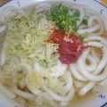 まぶたん's cooksnap of when they made 簡単～さっぱり〜おうどん.