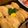 123ママ's cooksnap of when they made お手軽に♪麺つゆでいなりずし.