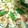 湯～ぽん's cooksnap of when they made 春の筍ちらし寿司♪.