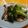 Cookingmam's cooksnap of when they made ブロッコリーと椎茸♪ゆず胡椒醤油ピリッ！.