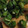 mana❁mint's cooksnap of when they made やみつき♪厚揚げ豆腐とにらの香味ソース.
