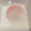 すー★ฅ•ω•ฅ's cooksnap of when they made 低温調理器ANOVAで温泉卵.