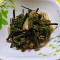 kenta1103t's cooksnap of when they made わらびと油揚げの煮びたし.