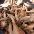 ☆苹凛☆'s cooksnap of when they made キノコとツナのピリ辛炒め.