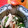 piyochako's cooksnap of when they made ほうれんそうとささみの和風ナムルサラダ.