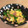 JackFruits's cooksnap of when they made 絹さやとハムのふんわり卵炒め.