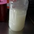 みえにょ's cooksnap of when they made 米のとぎ汁乳酸菌.