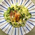 horseland's cooksnap of when they made 夏のさっぱりキャベツ＆みょうが＆シソ.