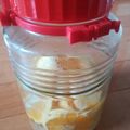 ちびちび食べ歩き's cooksnap of when they made すごく美味しい甘夏みかん酒.