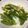 クック★BAMBOO's cooksnap of when they made 絹さや・えんどう豆の塩卵とじ.