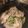 なつめめ's cooksnap of when they made 塩麹だけ！豚バラ肉と野菜のヘルシー蒸し.