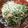 ♬あじさいのレシピ♬'s cooksnap of when they made 豆苗とツナのラー油マヨサラダ.