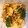 skky0122's cooksnap of when they made 【簡単☆常備菜】筍の土佐煮風炒め.