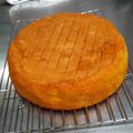 わかぞぅ's cooksnap of when they made 簡単♥しっとりふわふわスポンジケーキ.