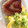 よっちんcookラブ's cooksnap of when they made 魚肉ソーセージのハンバーグ♪.