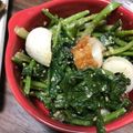 プリン後輩's cooksnap of when they made ほうれん草と竹輪のさっぱり胡麻和え.