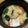 もー７３'s cooksnap of when they made タケノコとワカメのお味噌汁.