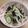 きらり流れ星's cooksnap of when they made パパっと切り干し大根サラダ（中華風).