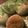 ★けちこ☆'s cooksnap of when they made こねるのはHBまかせの簡単丸パン.