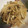 ✿ささ's cooksnap of when they made 麺つゆで簡単♡しめじとしらたき炒め.