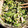 あーみーなー's cooksnap of when they made ほうれん草とツナのマヨからし合え.
