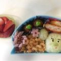 ＭＩＮＵＥＴ's cooksnap of when they made キャラ弁☆サボさん.