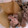 クック105KEH☆'s cooksnap of when they made めんつゆで簡単♪大根と豚バラの煮物.