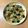 クックID3MMY☆'s cooksnap of when they made 牡蠣のオイル漬けで簡単！ペペロンチーノ！.