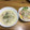 みいのまま's cooksnap of when they made 簡単　チキンのクリーム煮シュクメルリ風.