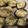 とろけい's cooksnap of when they made オーブンで簡単♪椎茸のマヨチーズ焼き.