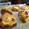 すぬぴ☆ミ's cooksnap of when they made サックリホロホロチョコチャンクスコーン.