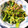 あっぷるぱい★★★'s cooksnap of when they made 菜の花のごま油和え.