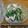 えみりんたん's cooksnap of when they made 水菜とささみのわさびマヨ和え.