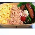 ＊ぺぺちゃん＊'s cooksnap of when they made 鮭フレーク.