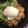 やーしー's cooksnap of when they made 真鯛のわさび漬け丼.
