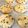 エツコッコ's cooksnap of when they made 中しっとり♪チョコチップクッキー.