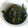 oyuking40's cooksnap of when they made 三つ葉となめ茸の和え物.