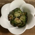 ☆こうめまま's cooksnap of when they made きゅうりの塩昆布おかか漬け.