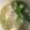 ma___111's cooksnap of when they made 卵白＆レタスの外葉消費に♪あっさりスープ.