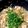クックGH9XI3☆'s cooksnap of when they made ☆《こんな時だからできちゃったおかず》☆.