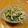 しろねこ18's cooksnap of when they made 超簡単！レンジ調理で豆苗のツナ和え♪.