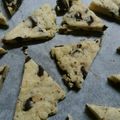 えりママです's cooksnap of when they made サラダ油でスコーン　HMに板チョコ.