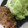 スオ＠修行中's cooksnap of when they made 卵パン粉不使用の豆腐と豚挽ミートローフ.