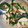 クックQQZSRC☆'s cooksnap of when they made 長芋とベーコンとにら炒め.