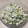 あきプー☆'s cooksnap of when they made とうもろこしと小松菜の白和え.